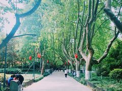 -杭州黄龙洞