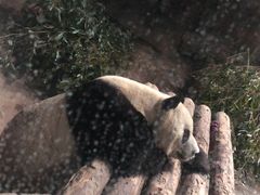 -莫多多餐厅