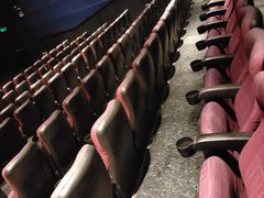 -SFC上影百联影城(川沙IMAX店)