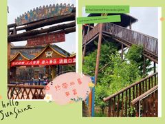 -呀路古热带植物园