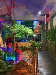 -恐龙探索乐园(磁器口店)