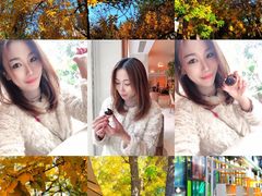 -三里屯东五街银杏大道