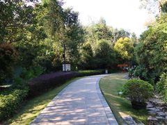 -石溪公园