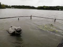 -昆山城市生态森林公园