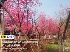 -昆明动物园