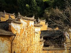 -杨家堂村