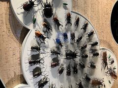 -浙江自然博物院(杭州馆)