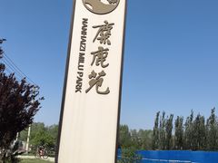 -北京麋鹿生态实验中心