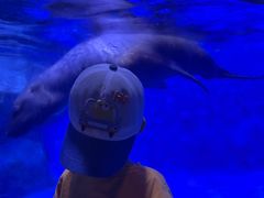 -上海海昌海洋公园