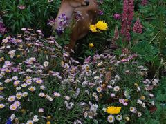 -共青国家森林公园-南大门停车场