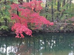 -本溪老边沟风景区