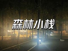 -森林小栈TreeStation露营基地