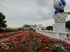 -百万葵园