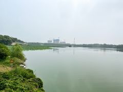 -大兴滨河森林公园