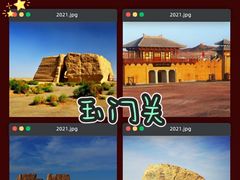 -金塔沙漠胡杨林景区