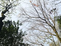 -重庆平顶山公园
