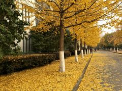 -江南大学(蠡湖校区)