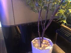 -漫·汤泉