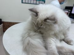 -美联众合24小时·皮肤科·外科·全科诊疗中心(华苑分院)