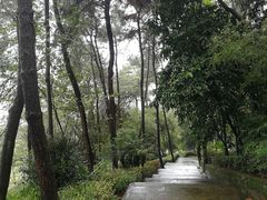 -铁山坪森林公园