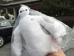 -扬州瘦西湖汇金酒店