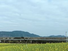 -光明小镇欢乐田园