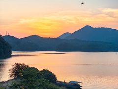 -广州市流溪河国家森林公园