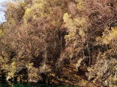-叠溪松坪沟景区