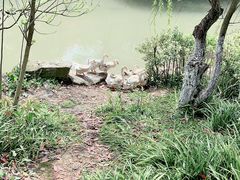 -韶山毛泽东同志故居