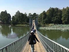 -东湖落雁景区