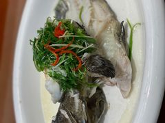 清蒸老虎斑-潮府馆·非遗潮州菜·世纪公园(新国际博览中心店)