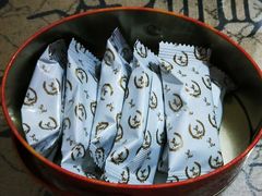 -珍妮曲奇聪明小熊(尖沙咀店)