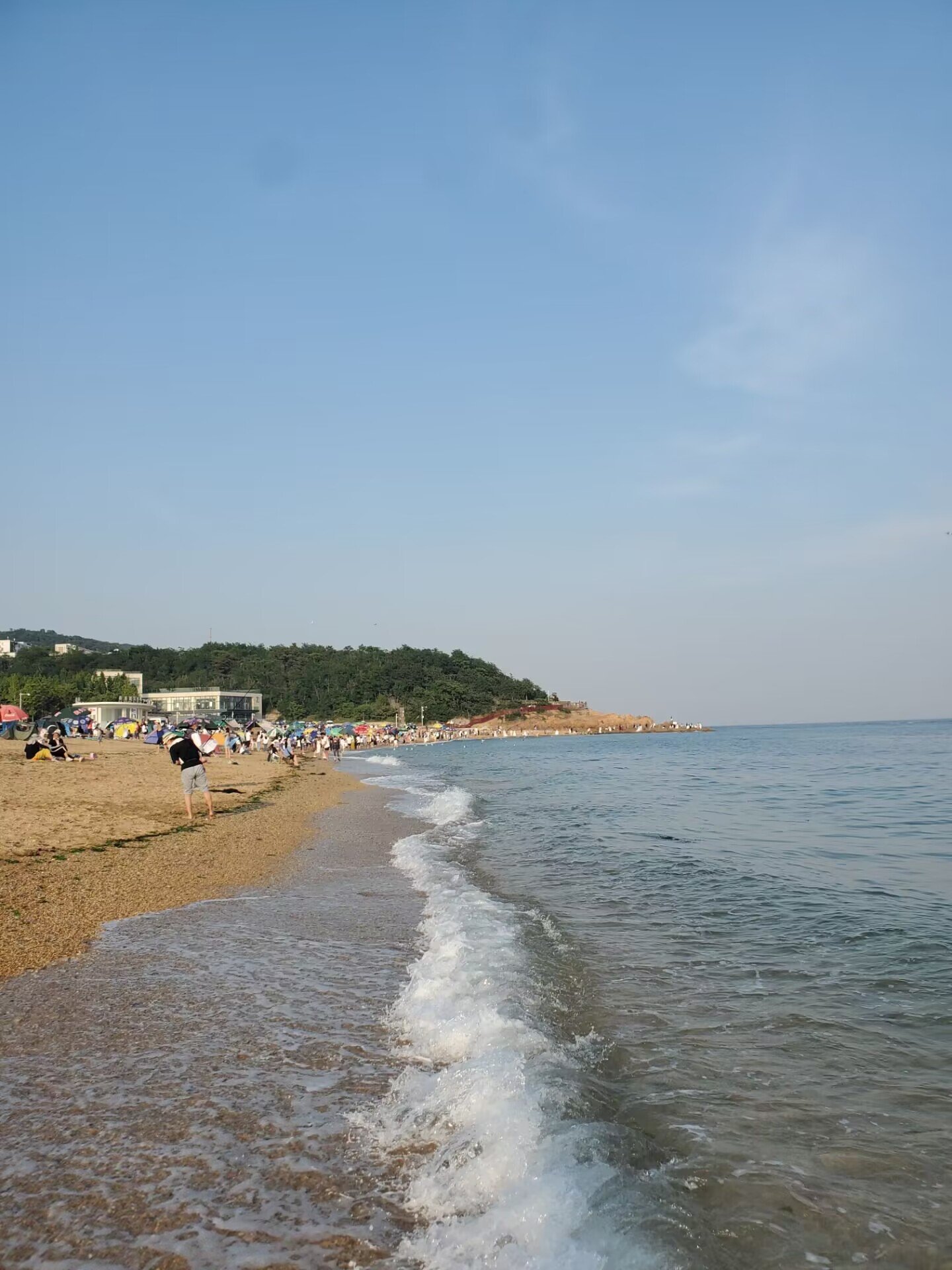 付家庄海水浴场图片