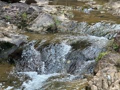 -广州白江湖森林公园