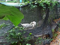 -晓港公园