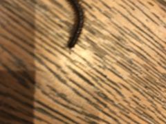 -帐篷客·溪龙茶谷度假酒店