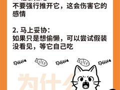 -睿金宠物医院·CT·肿瘤·骨外科