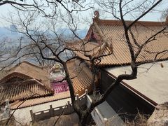 -高尔山公园