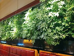 -巴奴毛肚火锅(广益哥伦布店)