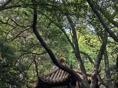 -临平公园(临平街道)
