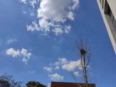 -南京特殊教育师范学院(燕子矶校区)