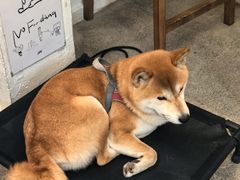 -三目仓咖啡(贤南路店)