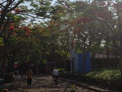 -白沙门生态公园