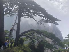 -黄山风景区