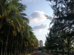 -万绿园