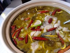 老坛酸菜清江鱼/斤/68元-巴渝菜舍曾氏麻辣风(霸州店)