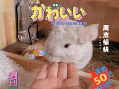 -龙猫仔乐园(惠福东路店)