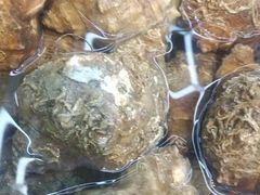 -大众海鲜(巨龙北路店)