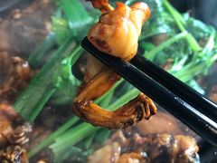 -友黔蛙(吉大店)