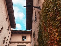 -华谊兄弟（长沙）电影小镇